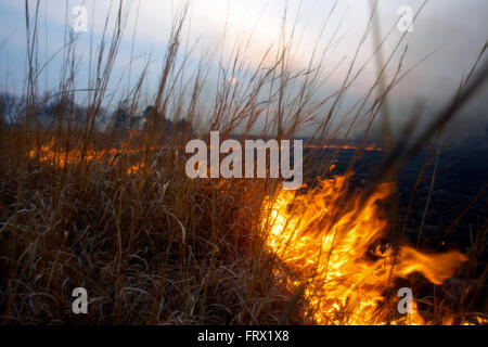 Auburn, Kansas, 30 marzo, 2014 campi annuale essendo bruciata per controllare le infestanti e di piante legnose Credito: Mark Reinstein Foto Stock