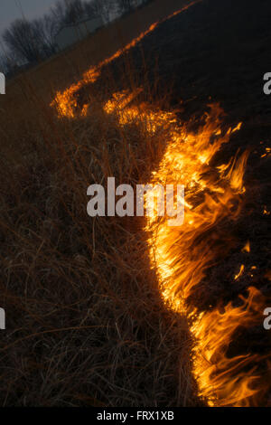 Auburn, Kansas, 30 marzo, 2014 campi annuale essendo bruciata per controllare le infestanti e di piante legnose Credito: Mark Reinstein Foto Stock