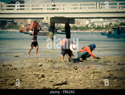 Guscio locale raccoglitori il lavoro per la raccolta di molluschi e crostacei Foto Stock