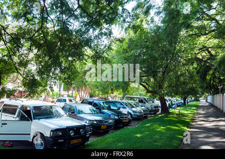 Strada alberata, viali distretto, Harare, Zimbabwe Foto Stock