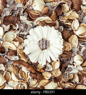 Decorazione di fiori secchi. Bellezza naturale. Tema Spa. Foto Stock