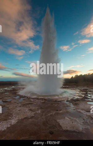 Strokkur (islandese per 'churn') è una fontana geyser nell'area geotermale accanto al fiume Hvítá in Islanda nel sud-ovest Foto Stock