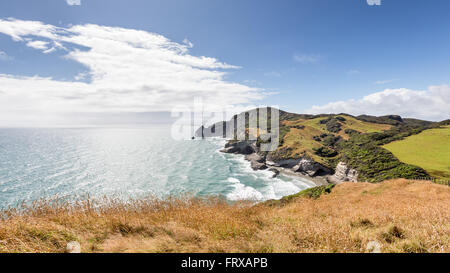 Cape addio, Isola del Sud, Nuova Zelanda Foto Stock