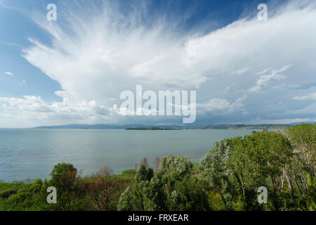 Lago Trasimeno, il lago, la provincia di Perugia, Umbria, Italia, Europa Foto Stock