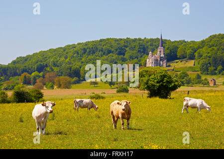 Paesaggio vicino a Mont-DEVANT-Sassey con chiesa Notre Dame, XI secolo, Vallée de Meuse, Dept. Mosa, Regione Lothringen, Francia, Europa Foto Stock