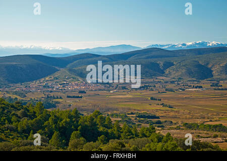 Vista sopra la superficie viticola, Corbières, con Paziols e Pirenei, Dept. Aude, Languedoc-Roussillon, Francia, Europa Foto Stock