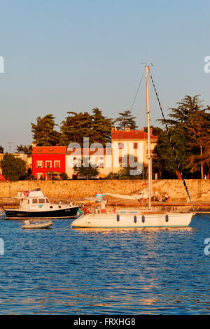 Le barche nel porto, Cittanova, Istria, Croazia Foto Stock