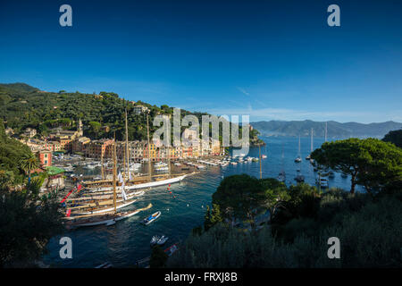 Portofino, provincia di Genova, Riviera Ligure, Liguria, Italia Foto Stock