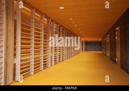 Attrezzature da ginnastica in un club ginnico delle isole Faroe Foto Stock