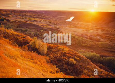 Tramonto sull'isola secca Buffalo Jump Parco Provinciale in autunno, Alberta, Canada Foto Stock