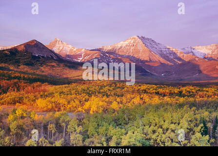 Panoramica delle montagne e foreste in autunno, il Parco Nazionale dei laghi di Waterton, Alberta, Canada Foto Stock
