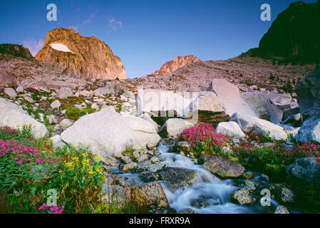 Bugaboo Parco Provinciale, British Columbia, Canada Foto Stock