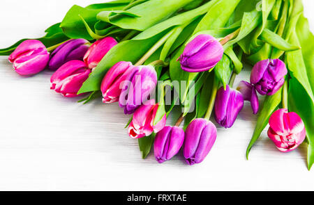Bella rosa e viola primavera bouquet di tulipani Foto Stock