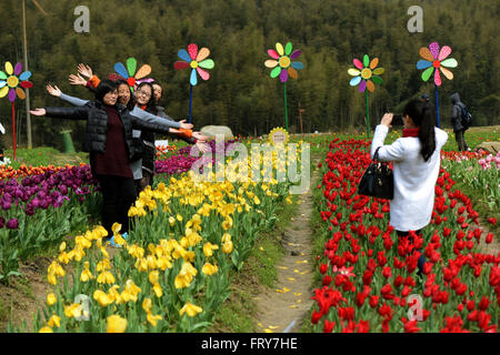 Nanchang, cinese della provincia di Jiangxi. 24 Mar, 2016. Le persone rappresentano per le foto di gruppo tra i fiori a Taiping township di Nanchang City, Cina orientale della provincia di Jiangxi, 24 marzo 2016. Alcuni 100.000 fiori fioriscono qui di recente. Credit: Wan Xiang/Xinhua/Alamy Live News Foto Stock