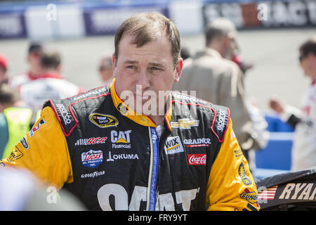 Fontana, in California, Stati Uniti d'America. 20 Mar, 2016. FONTANA, in California - marzo 20: Ryan Newman, driver della #31 Caterpillar Chevrolet appare sulla griglia prima della NASCAR Sprint Cup Series Auto Club 400 presso Auto Club Speedway su Marzo 20, 2016 a Fontana, in California. © Daniel Knighton/ZUMA filo/Alamy Live News Foto Stock