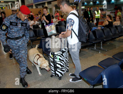 Thailandia, Tailandia. 25 Mar, 2016. Un Thai K9 unità e pattuglie di soldati del cane dal Royal Thai Air Force delle forze di sicurezza comando per esplorare e ispezionare gli esplosivi a Don Mueang dall'Aeroporto Internazionale di Bangkok per costruire un clima di fiducia fra i turisti, sia in Thailandia e oltremare dopo l attentato terroristico all'aeroporto di Bruxelles in Belgio. Credito: Vichan Poti/Pacific Press/Alamy Live News Foto Stock