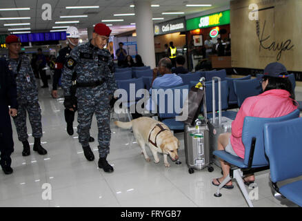 Thailandia, Tailandia. 25 Mar, 2016. Un Thai K9 unità e pattuglie di soldati del cane dal Royal Thai Air Force delle forze di sicurezza comando per esplorare e ispezionare gli esplosivi a Don Mueang dall'Aeroporto Internazionale di Bangkok per costruire un clima di fiducia fra i turisti, sia in Thailandia e oltremare dopo l attentato terroristico all'aeroporto di Bruxelles in Belgio. Credito: Vichan Poti/Pacific Press/Alamy Live News Foto Stock