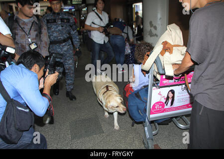 Thailandia, Tailandia. 25 Mar, 2016. Un Thai K9 unità e pattuglie di soldati del cane dal Royal Thai Air Force delle forze di sicurezza comando per esplorare e ispezionare gli esplosivi a Don Mueang dall'Aeroporto Internazionale di Bangkok per costruire un clima di fiducia fra i turisti, sia in Thailandia e oltremare dopo l attentato terroristico all'aeroporto di Bruxelles in Belgio. Credito: Vichan Poti/Pacific Press/Alamy Live News Foto Stock