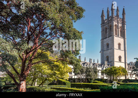 Il Magdalen College Vista dal giardino botanico Oxford Regno Unito Foto Stock