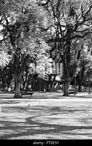 Park, Buenos Aires Foto Stock