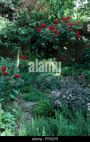 Blu pallido Campanula e una red rose standard white white foxgloves in un angolo ombreggiato di un confine di estate Foto Stock