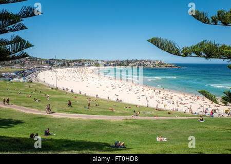 La spiaggia di Bondi - una delle più famose spiagge di Sydney Foto Stock