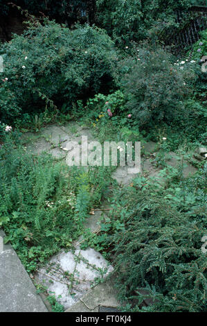 Gli uccelli vista di un giardino ricoperta prima del rinnovamento Foto Stock