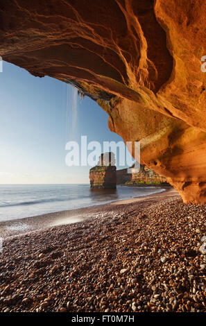 Ladram Bay. Jurassic Coast Sito Patrimonio Mondiale. Devon. Regno Unito. Foto Stock