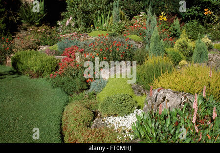 Piccole conifere e helianthemums rosso in un ben fornito degli anni settanta rockery garden Foto Stock