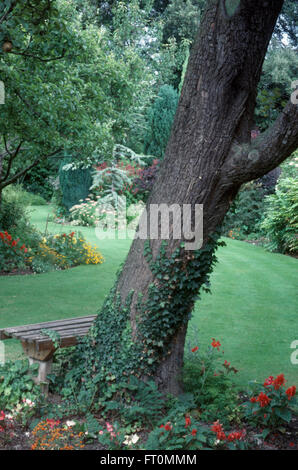 Panca di legno accanto a un albero con edera rampicante in un grande giardino con una nuova prato falciato Foto Stock