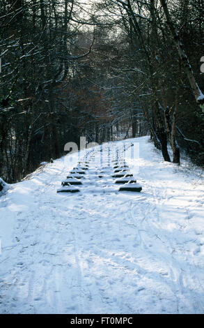 Vista di un bosco innevato in inverno con un arte di installazione, la strada di ferro, installato lungo un tratto in disuso la linea ferroviaria Foto Stock