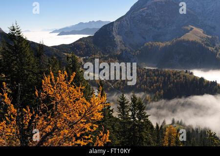 Vista dal Monte Jenner oltre il mare di nebbia, Berchtesgadener Land, Alta Baviera, Germania Foto Stock