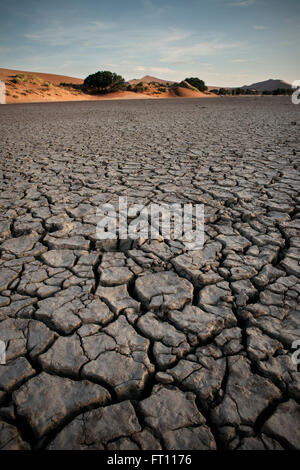 Dettaglio delle crepe nel terreno in corrispondenza del pan di argilla cosiddetta Vlei e dune di sabbia rossa intorno al Sossusvlei, Namib Naukluft National Park, Namibia, Namib Desert, Africa Foto Stock