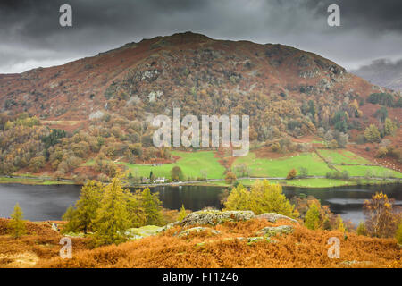 Guardando oltre Rydal acqua, Ambleside nel distretto del lago, Cumbria Inghilterra Regno Unito Foto Stock