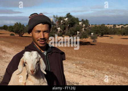 Pastore nella parte anteriore di un gregge di capre vicino ad un albero di argan, Essaouira, Marocco Foto Stock