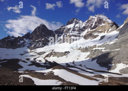 Cerro los Gemelos nella Valle del Francés, Parco Nazionale Torres del Paine, Patagonia, Cile Foto Stock