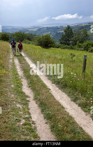 Gli escursionisti passando un percorso che attraversa un prato, Renania-Palatinato, Germania Foto Stock