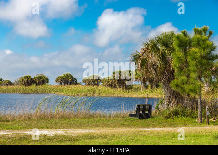 Panchina sul lago in Scherer Thaxton preservare nella contea di Sarasota in Florida Nokomis Foto Stock
