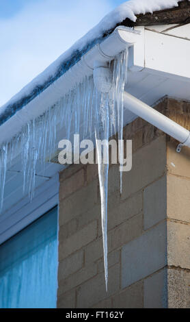 Grandi icilces appendere da gronde di case in un periodo molto freddo dicembre. Foto Stock