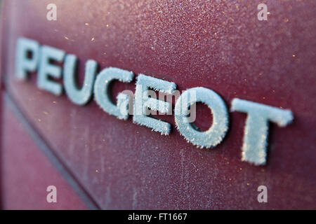 La mattina presto il gelo copre una vettura e il suo nome distintivo, Peugeot. Foto Stock