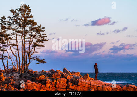 Una ragazza sorge sulla costa rocciosa, illuminati da una luce arancione del Sole nel Parco Nazionale di Acadia, isola di Mount Desert, Maine Foto Stock