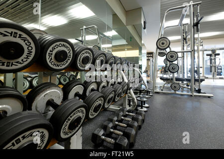 Rack di manubri in palestra Foto Stock