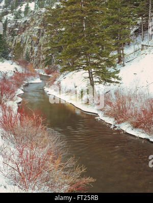 In inverno la neve lungo il Po' di ficodindia creek in Wolf Creek Canyon vicino a Helena, Montana Foto Stock