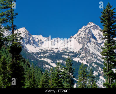 A nord di trapper picco nella gamma bitterroot del selway-bitterroot deserto vicino a conner, montana Foto Stock