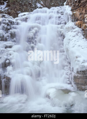 Ouzel cade sulla forcella del sud ovest forcella fiume Gallatin in inverno vicino Big Sky, montana Foto Stock