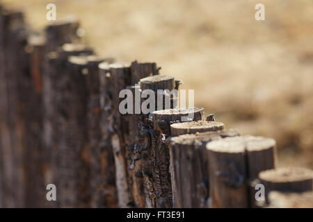 Staccionata in legno, Abiquiu, Nuovo Messico, STATI UNITI D'AMERICA Foto Stock