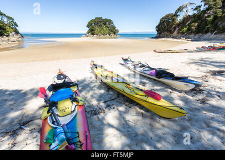 A Mosquito Bay nel Parco nazionale Abel Tasman, Isola del Sud, Nuova Zelanda Foto Stock