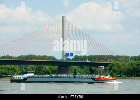 Deutschland, Renania settentrionale-Vestfalia, Bonn, Friedrich-Ebert-Brücke Foto Stock