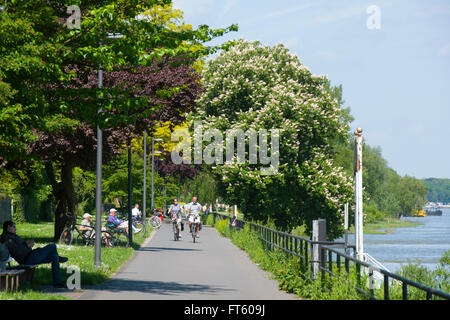 Deutschland, Bonn, Bad Godesberg-Mehlem, John-Jay-McCloy-Ufer Foto Stock