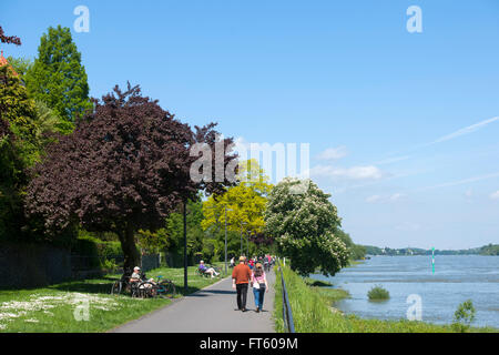 Deutschland, Bonn, Bad Godesberg-Mehlem, John-Jay-McCloy-Ufer Foto Stock